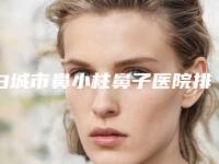 白城市鼻小柱鼻子医院排名TOP10专业机构-大安瑞鑫医疗美容诊所整形必看的选择指南