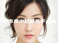 兰州市鼻小柱延长手术新价格表新版本出炉-兰州市鼻小柱延长手术得需要多少钱