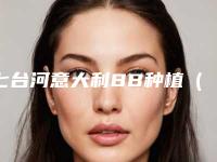 七台河意大利BB种植（全瓷牙 纯钛基台）价格受什么因素的影响