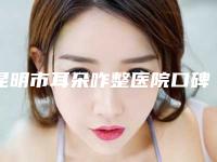 昆明市耳朵咋整医院口碑榜top10强名单更新(昆明市耳朵咋整整形医院)