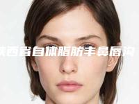 陕西省自体脂肪丰鼻唇沟手术收费明细价格表2025一览-陕西省自体脂肪丰鼻唇沟手术一般都需要准备多少钱