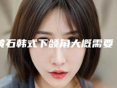 黄石韩式下颌角大概需要多少费用